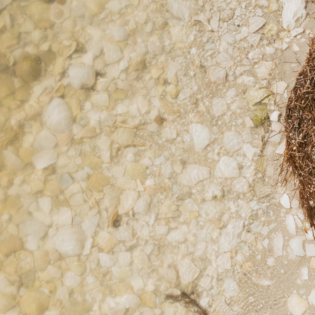 header-environmental-group